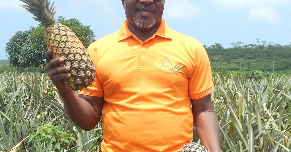 Exploring New Trade Opportunities: African and South American Producers Showcase at Fruit Attraction 2026