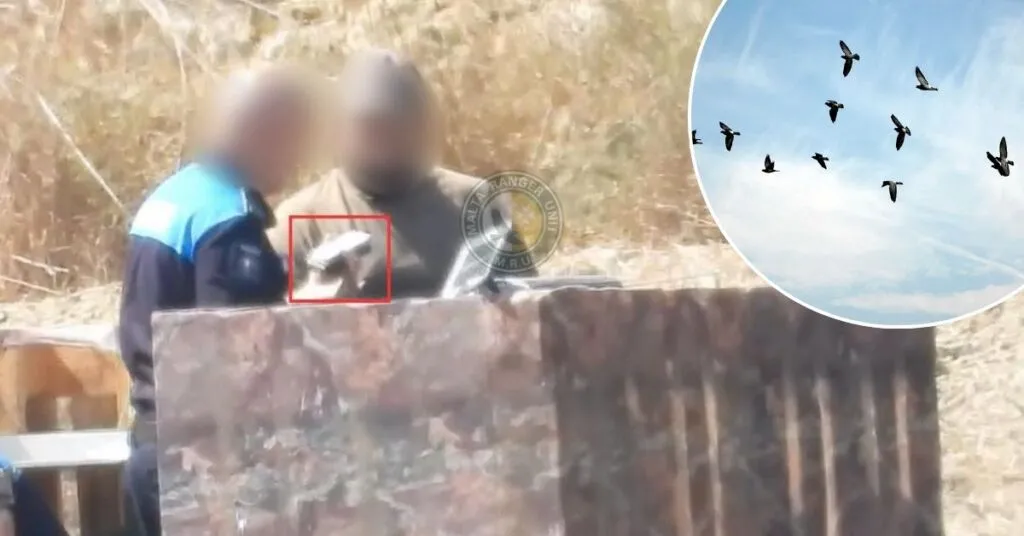 Hunter Fined €250 for Using Illegal Electronic Bird Caller in Malta