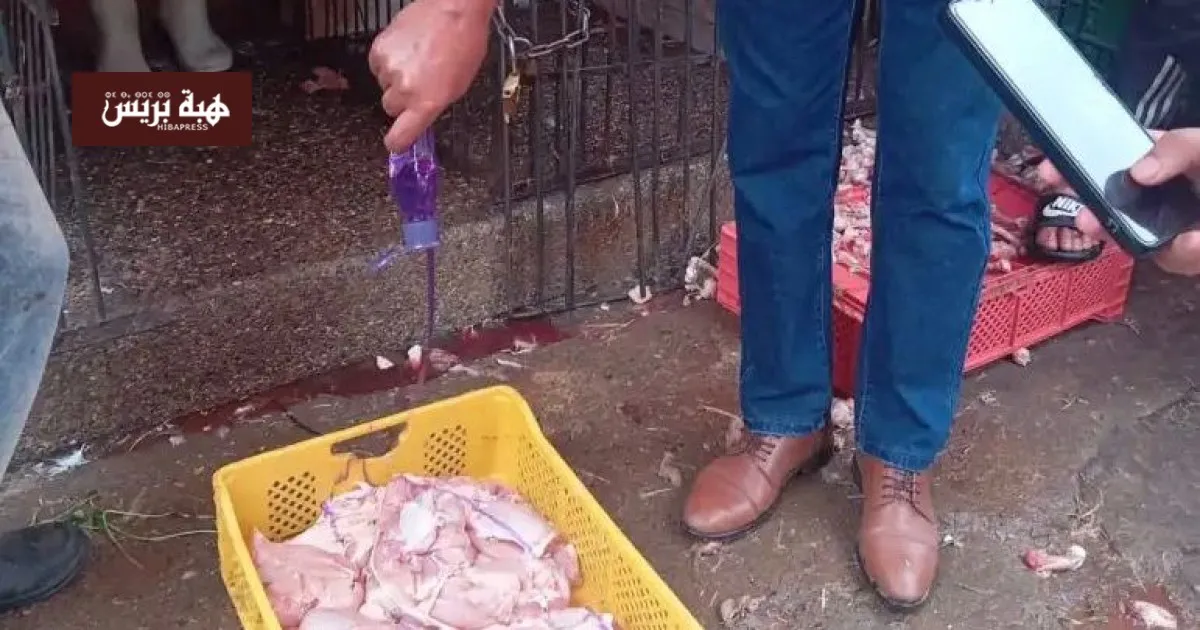 Crackdown on Unsafe Food Practices in Marrakech: An Urgent Response to Consumer Safety
