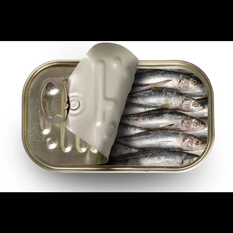 Sardine Shortages Hit German Supermarkets Amid Rising Prices