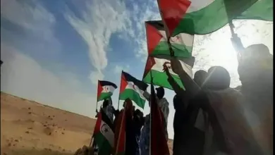 The Escalating Mental Health Crisis in Morocco: A Call to Action