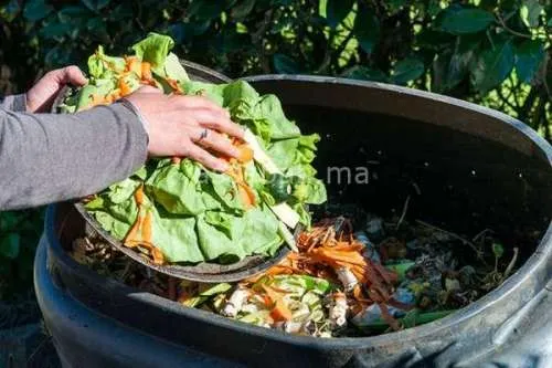 Finalizing the Latest Waste Management Contract in Casablanca