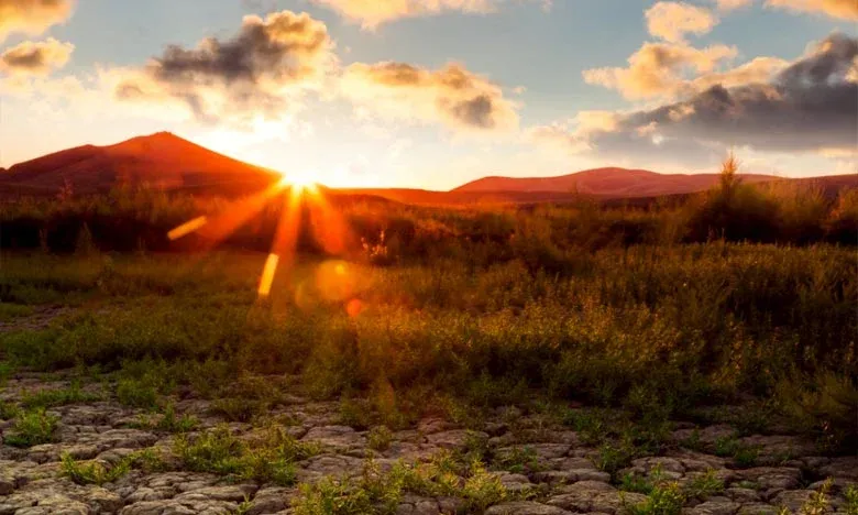 The Impending Impact of El Niño: A Global Challenge with Local Consequences