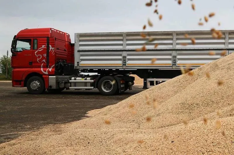 Morocco Resumes Soft Wheat Imports Amid Rising Support Prices