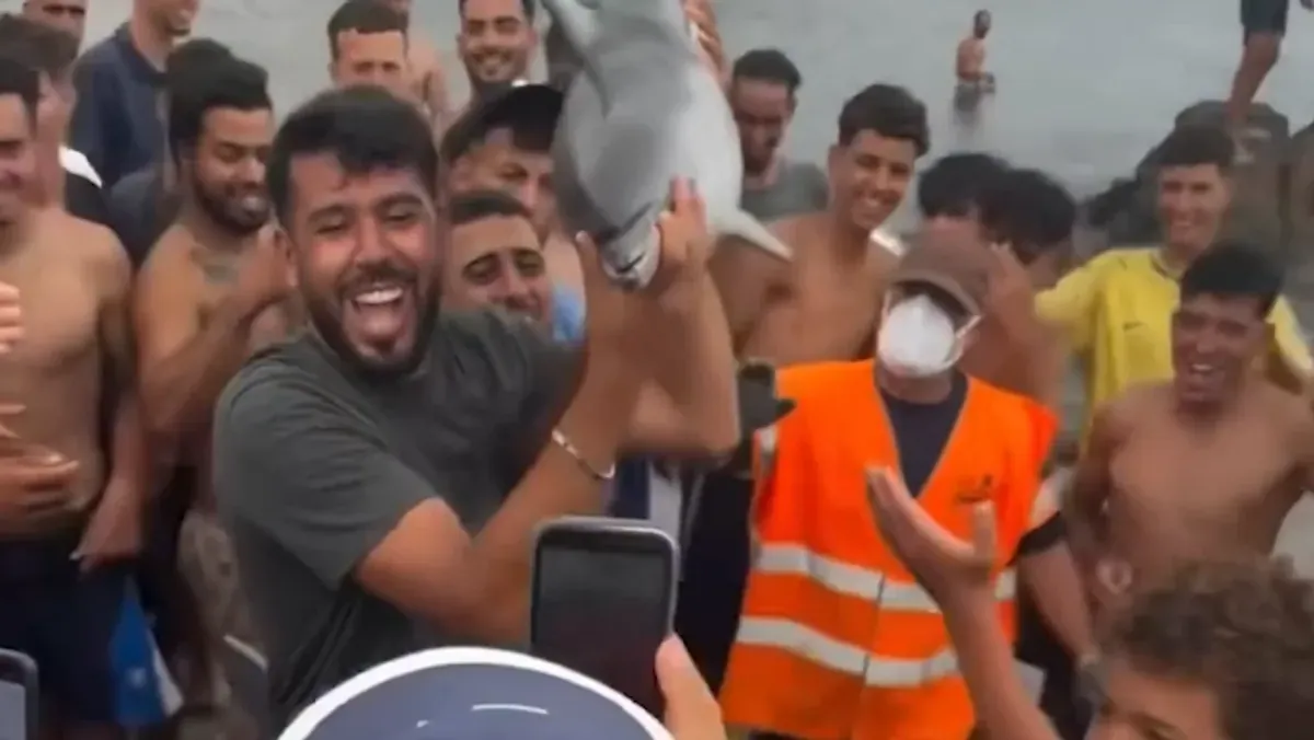 Outrage in Ceuta: Baby Dolphin's Disturbing Treatment Sparks Controversy