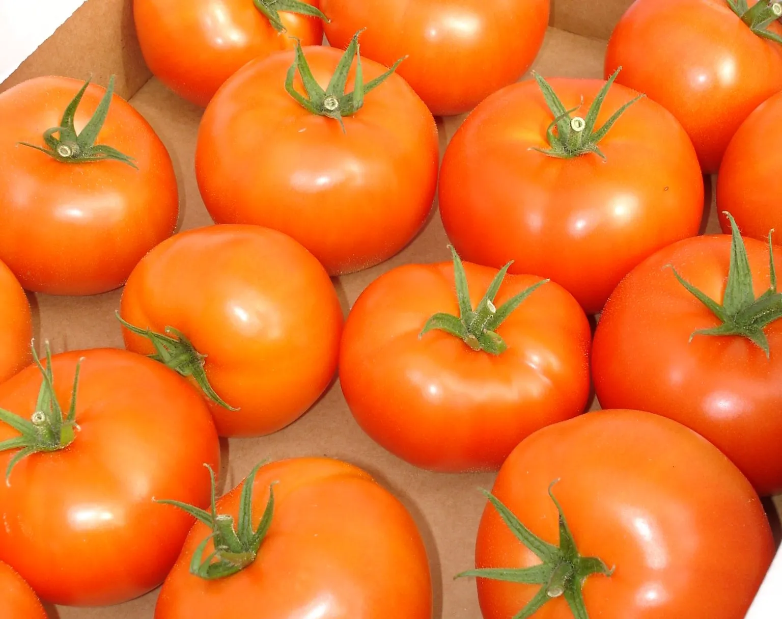 Spain's Fruit and Vegetable Imports Surge in Early 2026