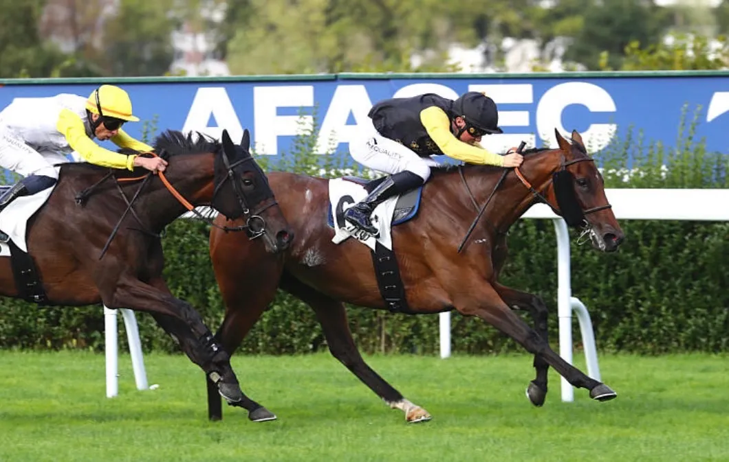 Casablanca Shines in Prix Pleben at Saint-Cloud