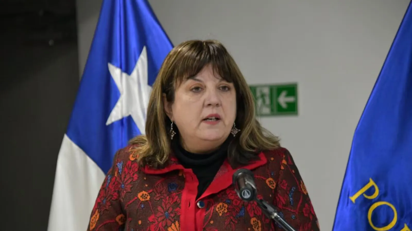 Marisol Rojas Nominated for Supreme Court by Justice Minister Rabat