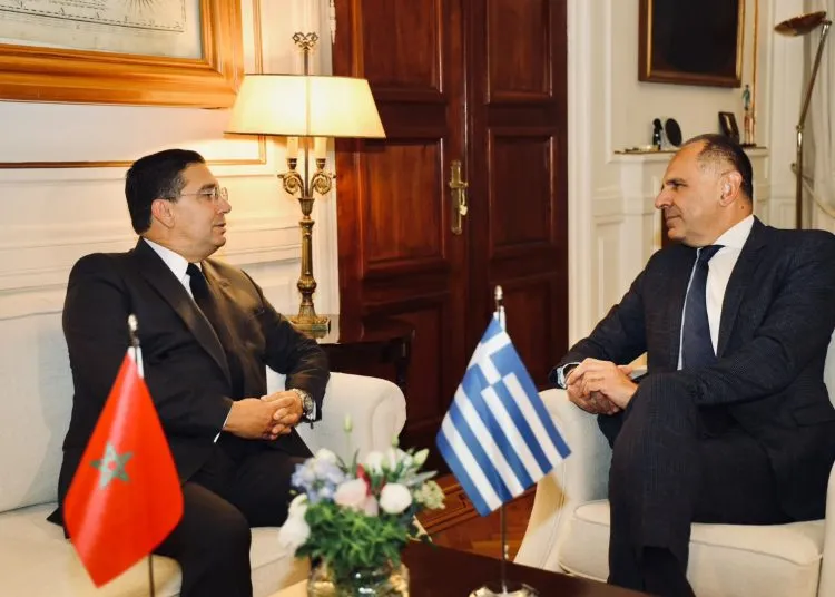 Denmark and Greece Endorse Morocco's Autonomy Plan for Western Sahara