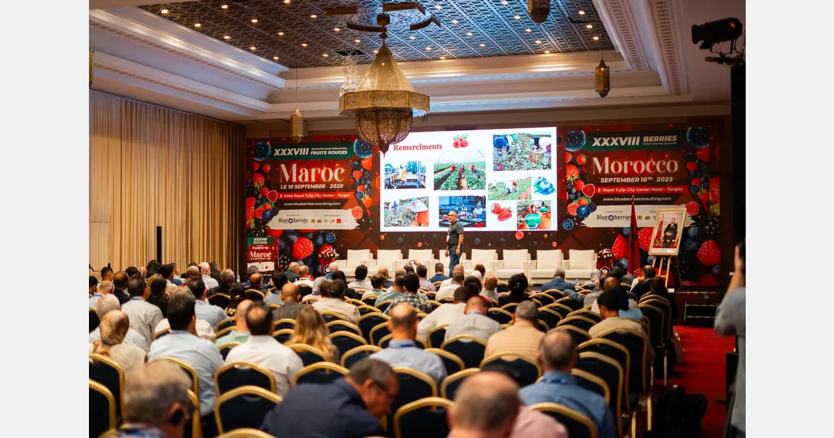 Morocco's Berry Sector: Challenges and Opportunities Ahead of the 43rd International Berry Fruit Seminar