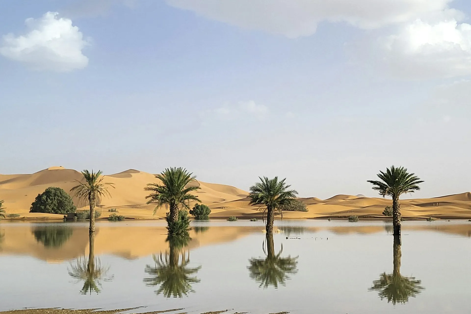 Morocco's Weather Patterns: From Drought to Deluge and the Role of El Niño