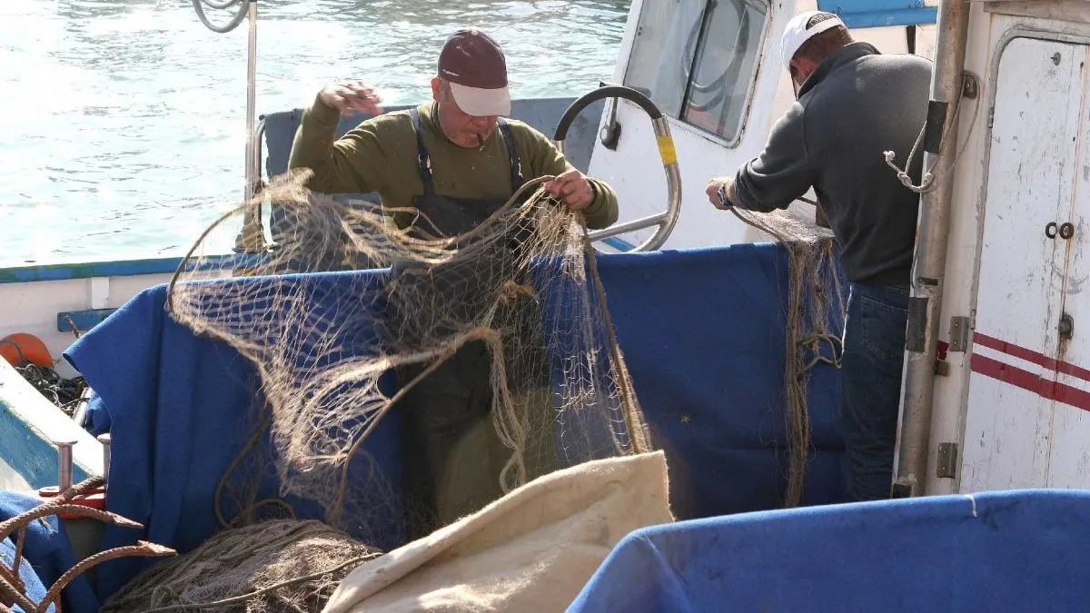 The Crisis in Spain's Fishing Sector: Challenges and Competition from Morocco