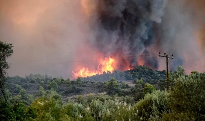 National Forest Fire Hazard Maps to Be Released by Water and Forest Agency