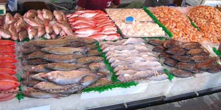 Rising Fish Prices in Marrakech: Consumer Discontent and Sardines in the Spotlight