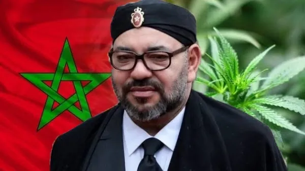 Spain's Rising Drug Trade: The Challenges of Cannabis and Cocaine Smuggling from Morocco