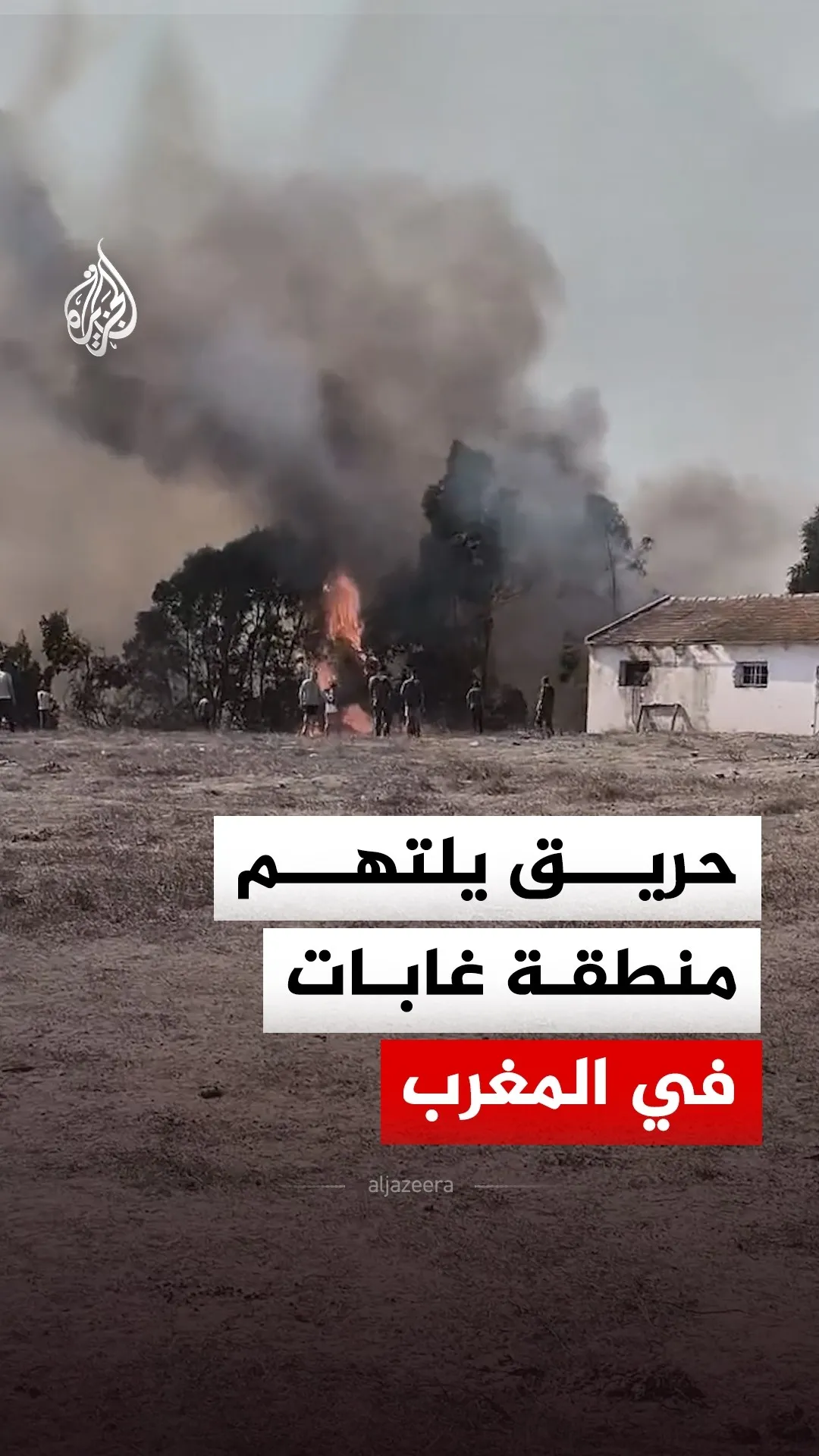 Wildfire Devastates Forest Area in Morocco