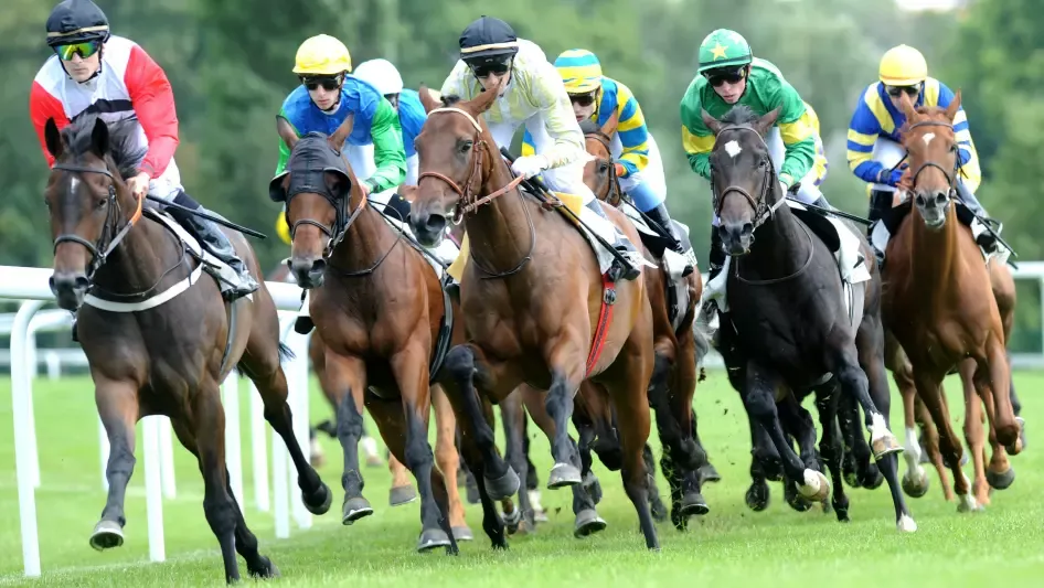 Exciting Race Overview: September 14, 2026