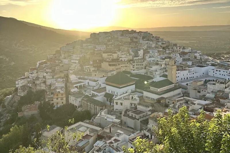 Fes Celebrates the 14th Salon of Contemporary Arts