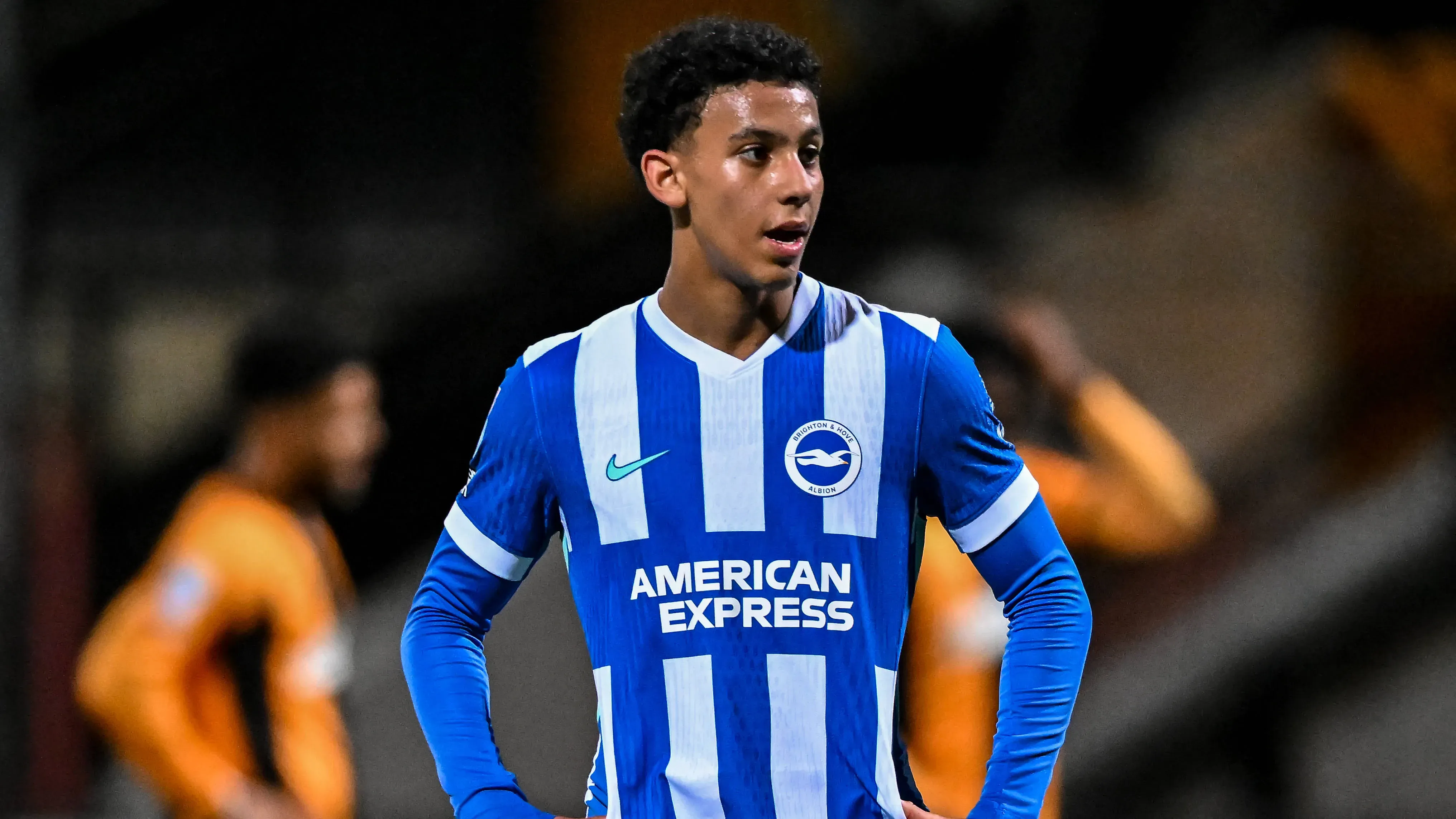 Younes Ibrahim: The Brighton Star with Four National Team Options