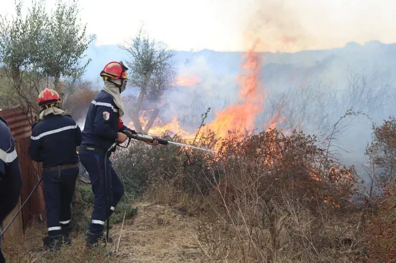 Morocco's Wildfire Risk: An Urgent Call for Vigilance