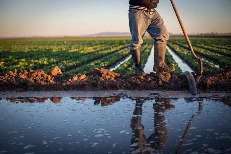 Morocco Enters New Agricultural Season with Record Water Reserves