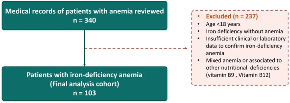 Understanding Iron Deficiency Anemia in Southern Morocco: A Comprehensive Study