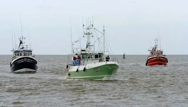 Agadir Implements Ban on Shellfish Harvesting from Douira-Sidi R’bat
