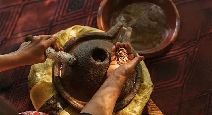 Exploring the Unique Journey of Botanika Marrakech: A Sustainable Argan Oil Brand