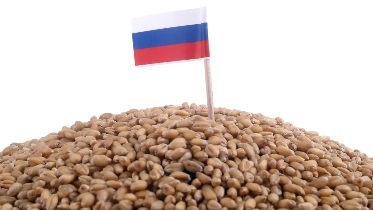 Morocco Imports 30,000 Tons of Wheat from Russia in Just 10 Days