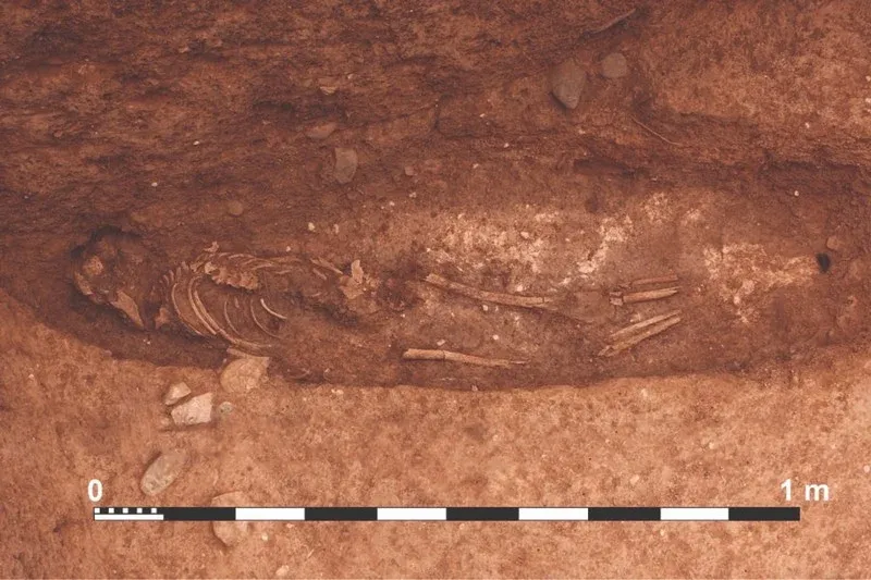 Unveiling Africa's Oldest Defensive System: A Historic Discovery in Morocco