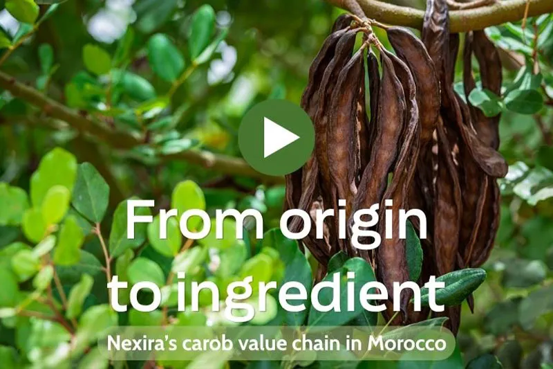 Nexira Enhances Carob Value Chain Through Strategic Investment in Morocco