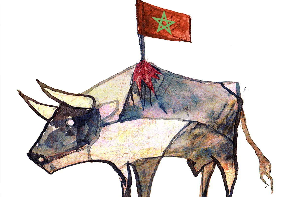 Understanding the Complex Dynamics of Spain-Morocco Relations Amidst the Ceuta Invasion