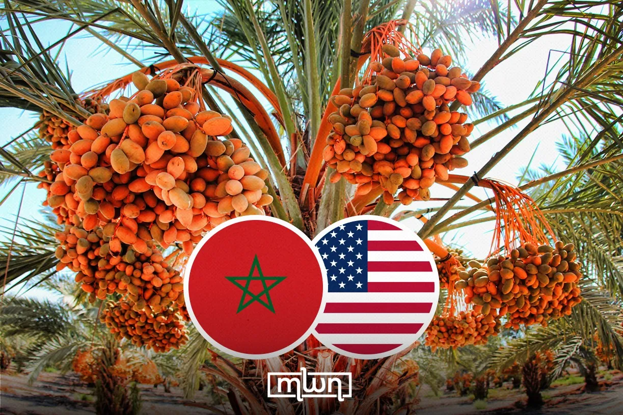 The Untold Journey: How Eleven Date Palm Offshoots Shaped Moroccan-American Relations