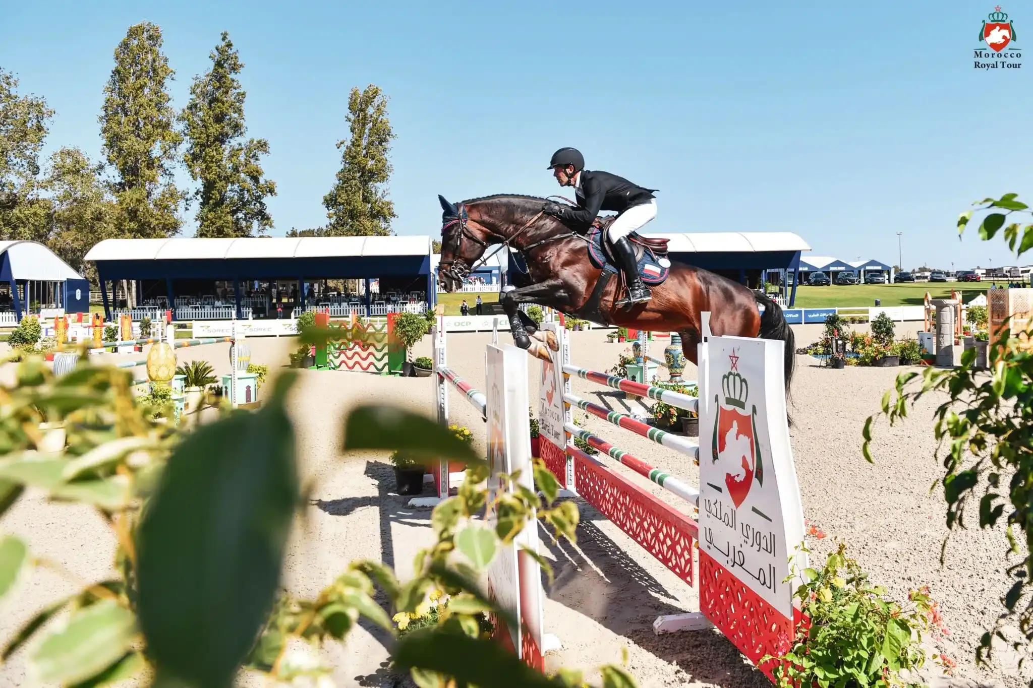 Exploring the Morocco Royal Tour: A Celebration of Equestrian Excellence in Rabat