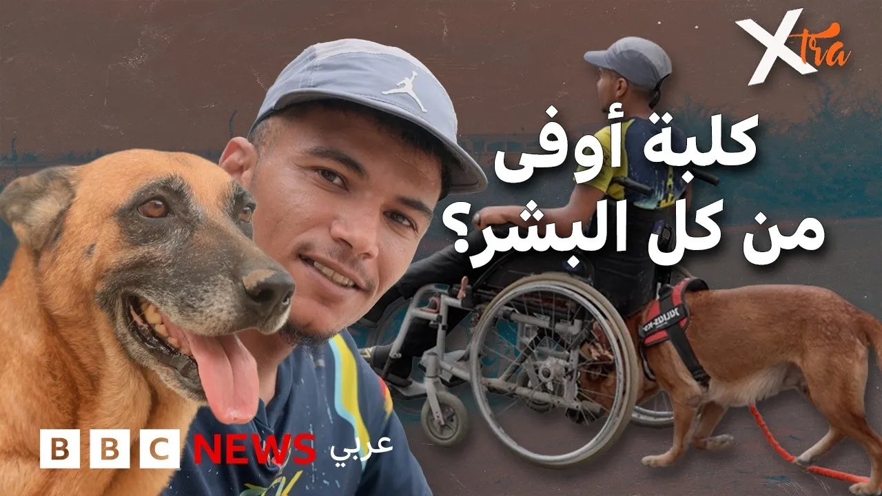 How a Dog Helped a Paralyzed Man Face Life's Challenges