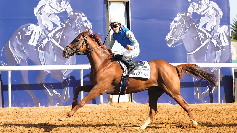 Buraq Retains the UAE President's Cup for Arabian Horses in Morocco