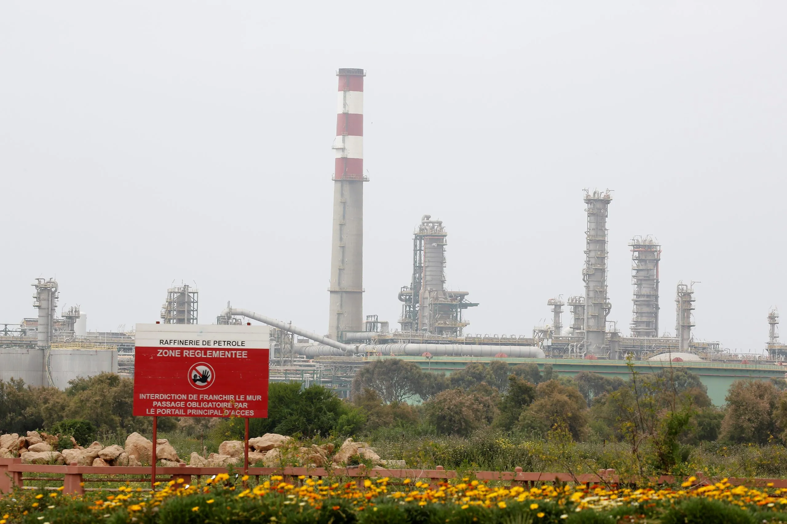 The Collapse of Morocco's Sole Oil Refinery: Al-Amoudi's Impact