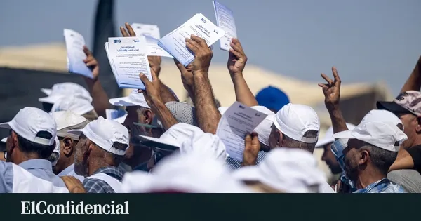 Morocco's Upcoming Elections: Young Voters Seek Better Opportunities