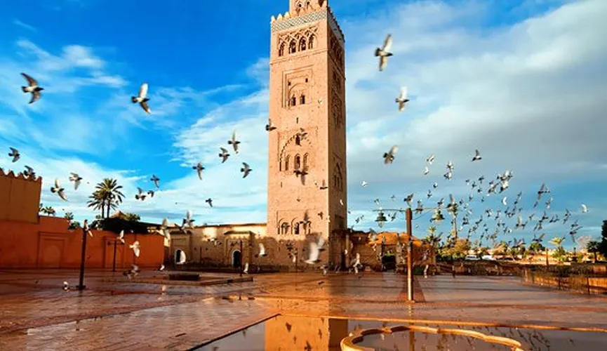The Unfolding Reality of Israeli Colonialism in Marrakech