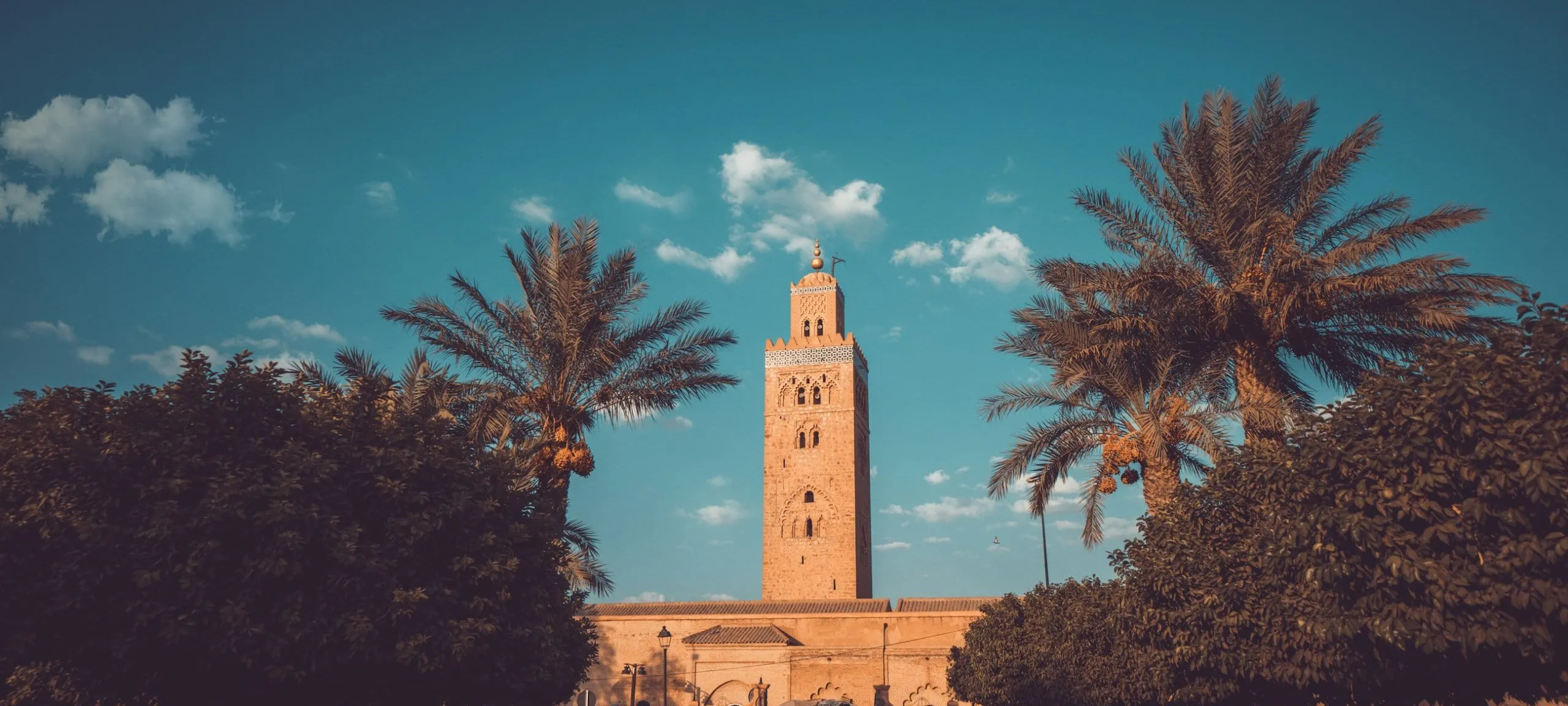 2026 Legislative Elections in Marrakech: Key Insights on Participation and Voting Procedures