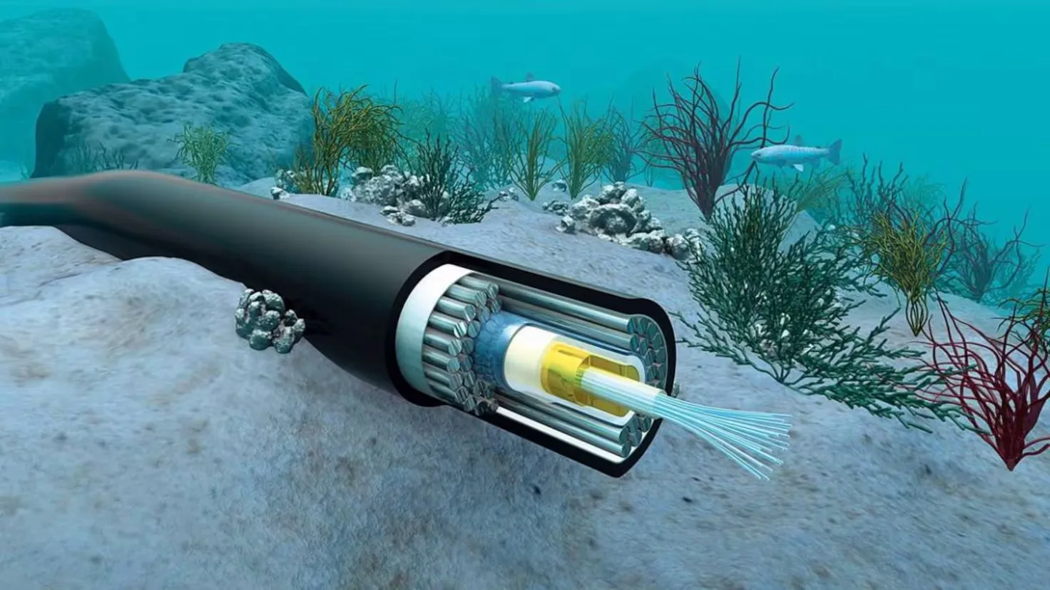 France Plans Undersea High-Voltage Direct Current Link with Morocco