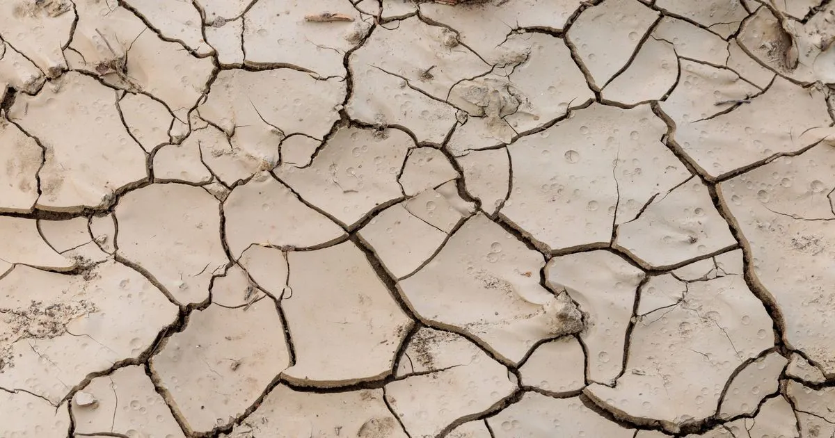 Severe Drought Hits Indre-et-Loire as Rainfall Plummets