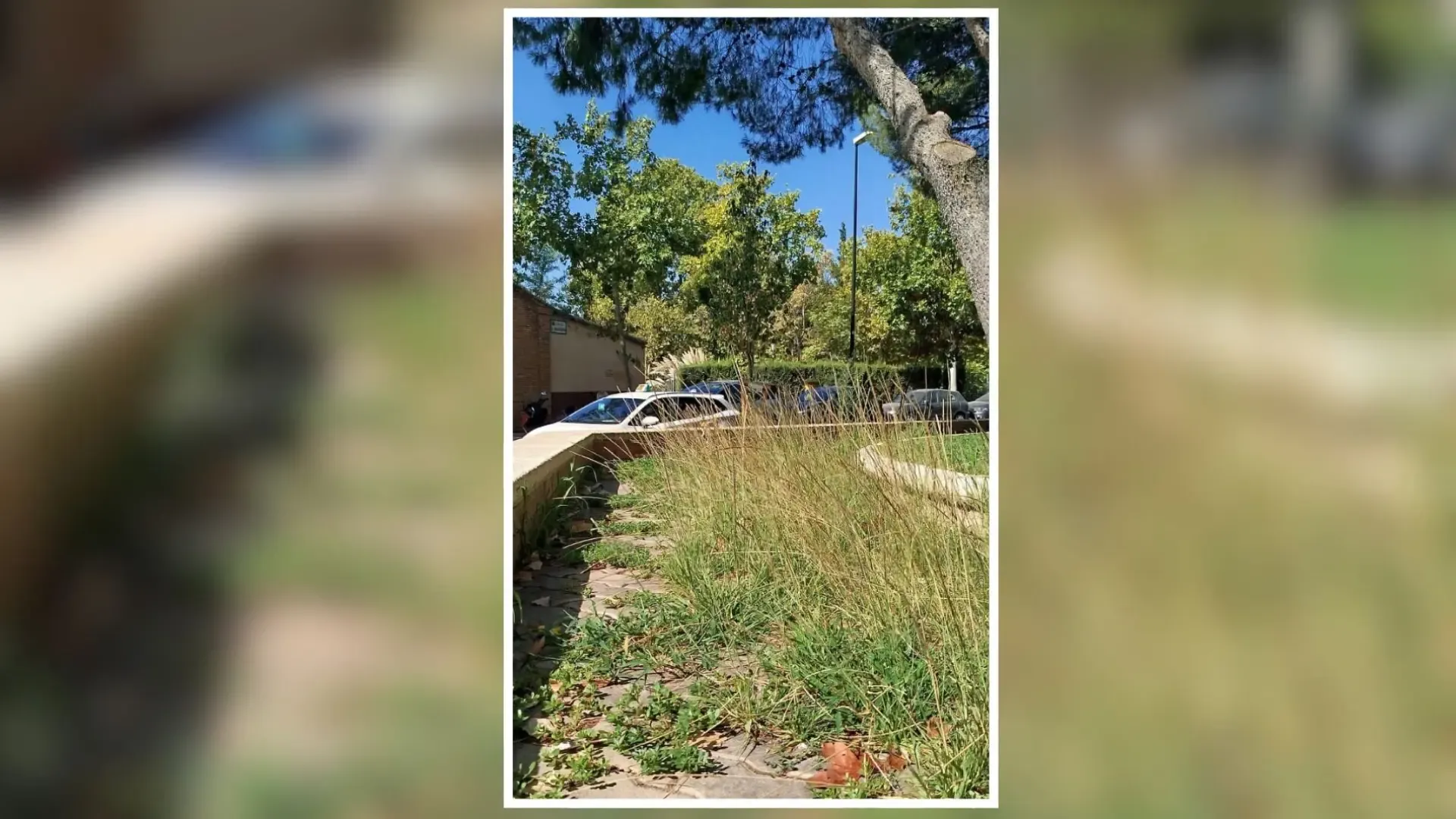 Concerns Over Cleanliness in Zaragoza's Casablanca Neighborhood
