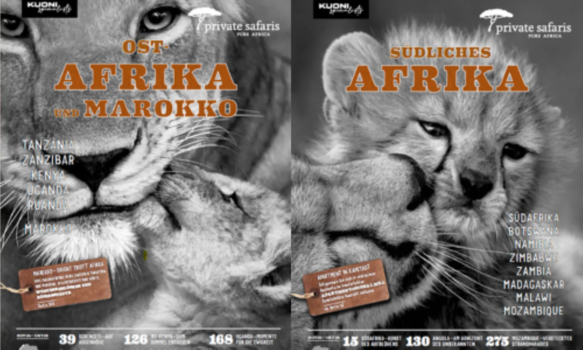 Explore New Travel Catalogs from Private Safaris