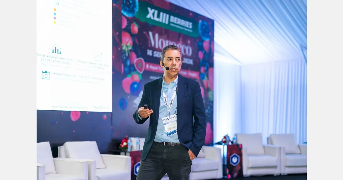 The Resilient Growth of Morocco's Blueberry Sector Amidst Emerging Challenges