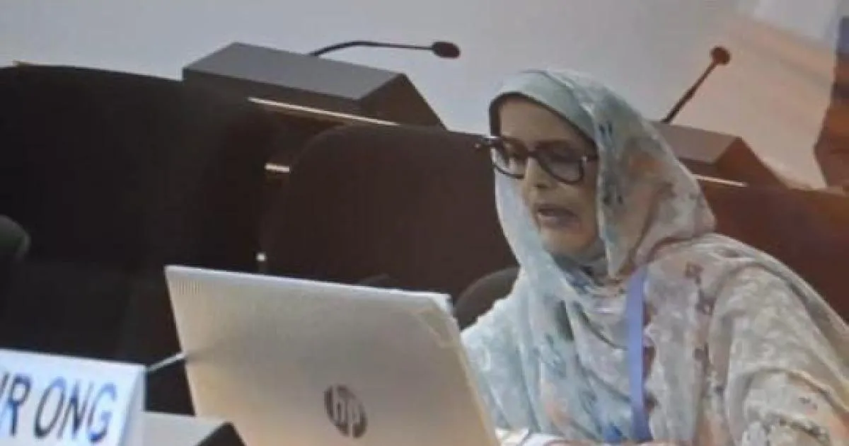 Sahrawi Activist Urges for Robust Human Rights Mechanisms in Western Sahara