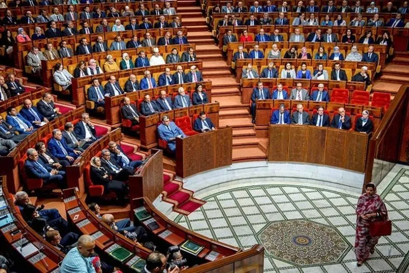 Empowering Women: Seven New Representatives Elected in Souss-Massa