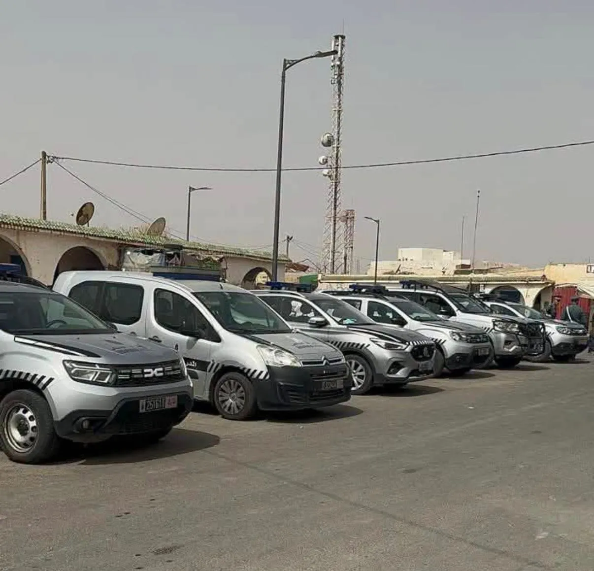 Royal Gendarmerie in Ait Ourir Arrests Seven Suspected Criminals