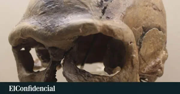 Morocco Unveils the Face of Our Ancient Ancestor: A 315,000-Year-Old Mystery Solved