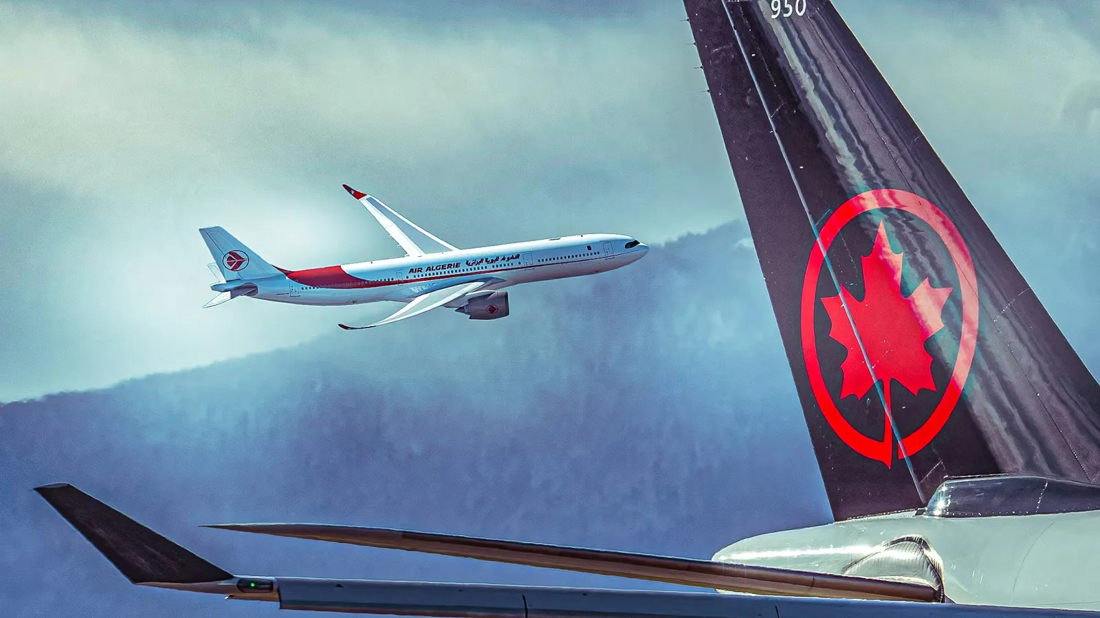 Air Canada Halts Nonstop Service to Algeria: Air Algérie Takes Over